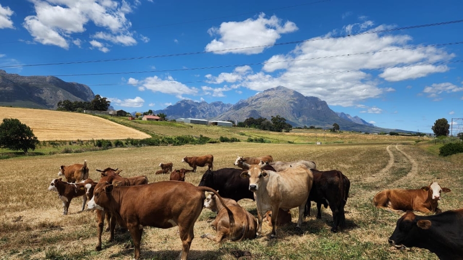 Commercial Property for Sale in Wolseley Western Cape